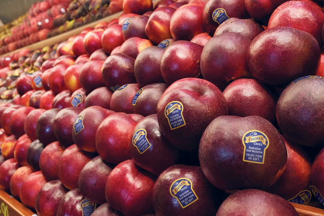 The chosen ones nectarines in a grocery store